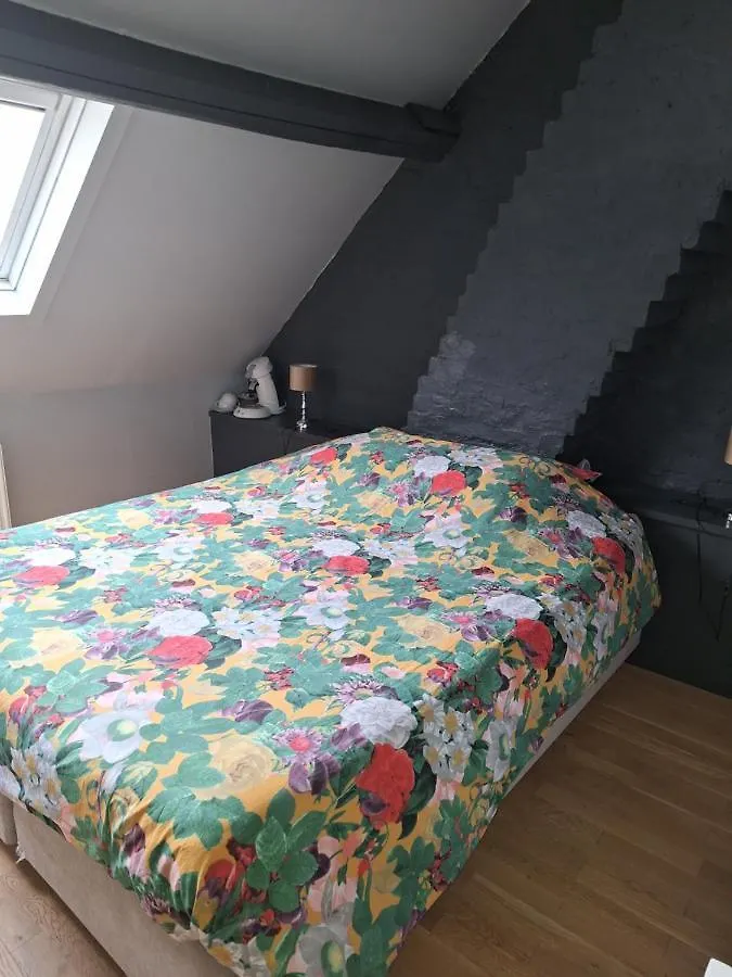 Maison D'Or suite met luxegevoel + sauna infrarood Bruges Hébergement de vacances